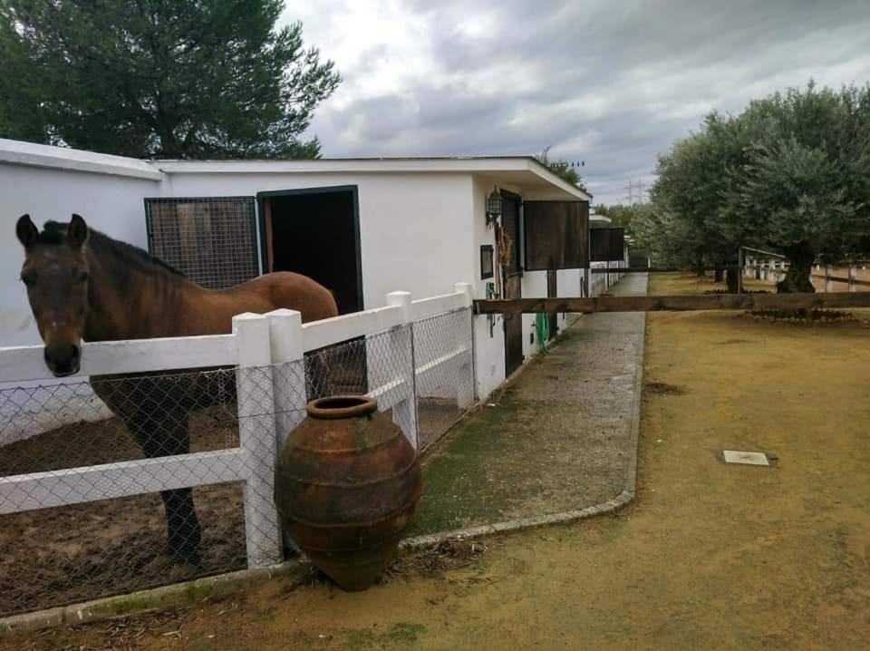 Finca Rural La Canera 16 Huespedes Seville Luaran gambar